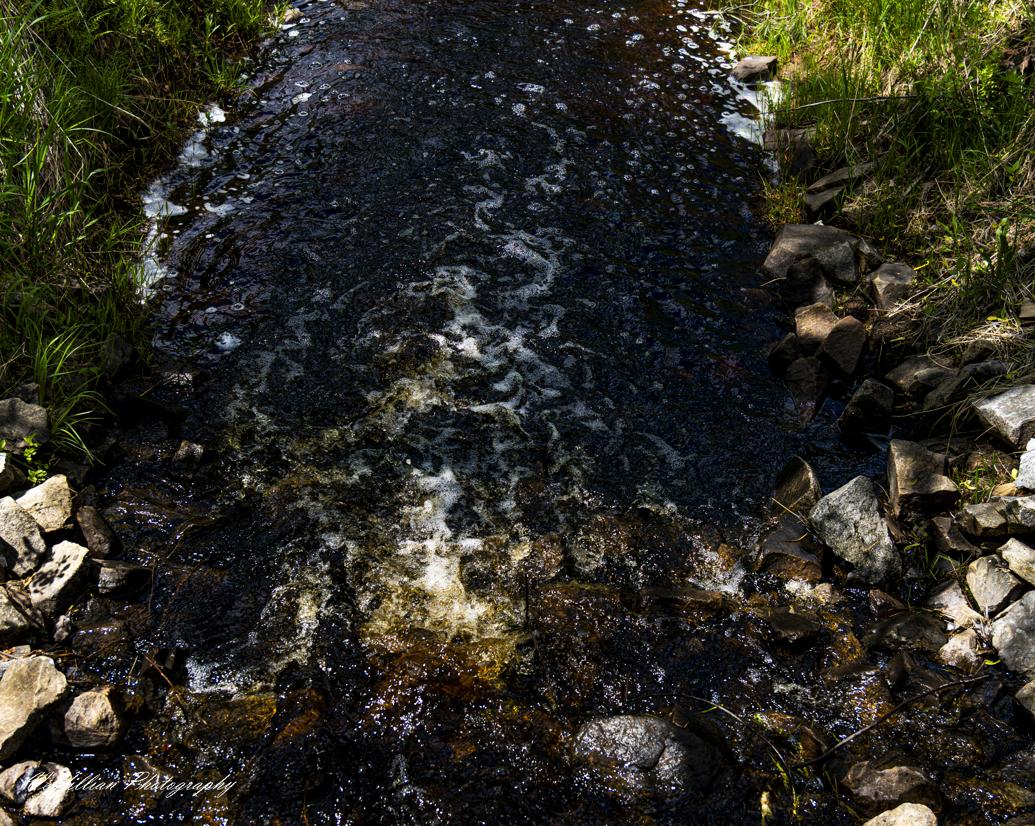 Photography 1