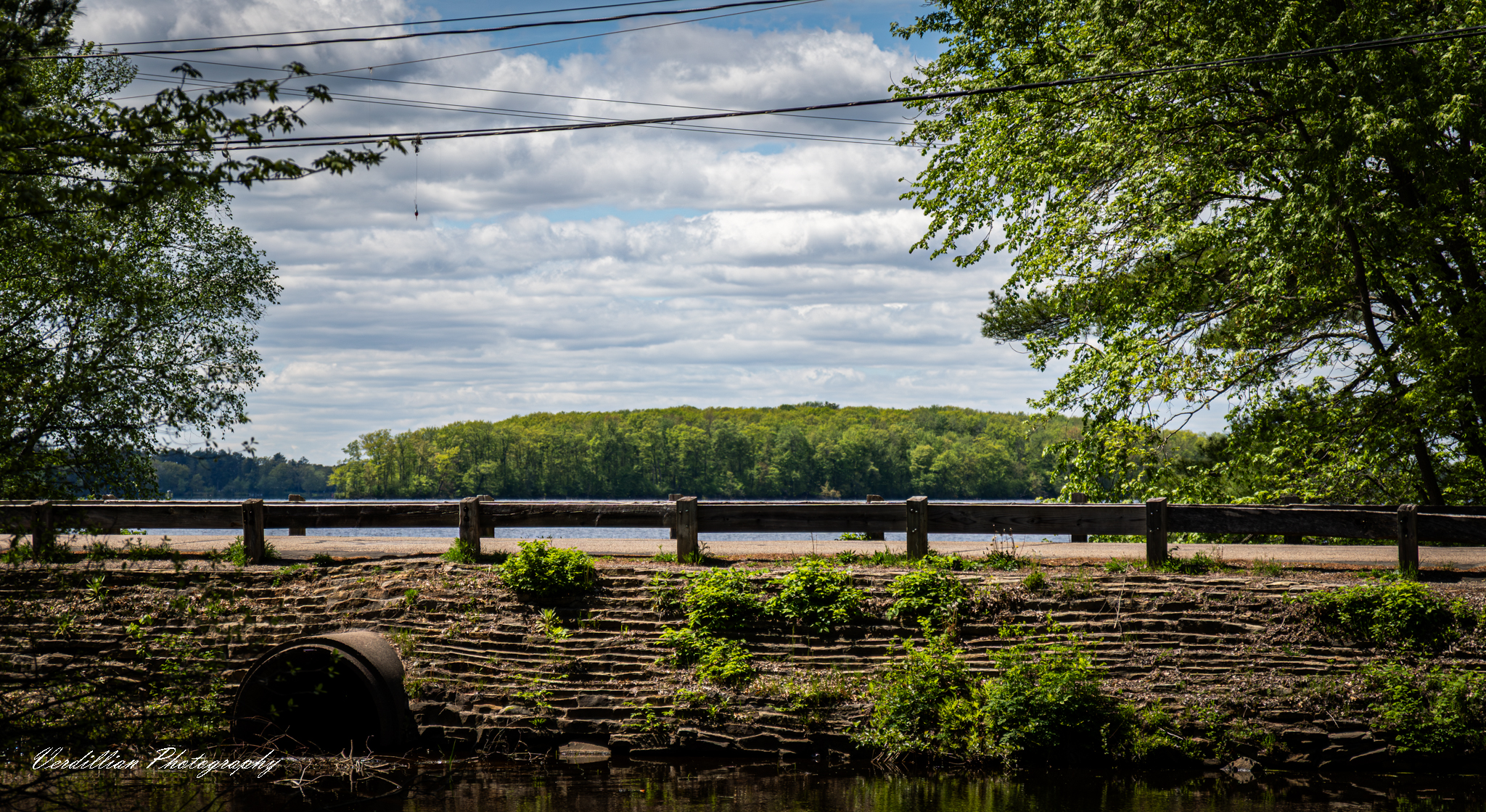 Photography 6